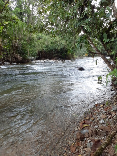 Exploring-the-Waters-of-Mashpi-Best-Chocolate-the-USA