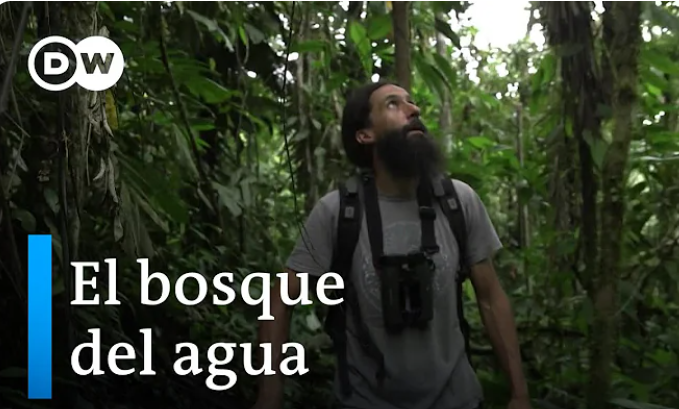 Protegiendo el paraíso: nuestro viaje por el Chocó Andino