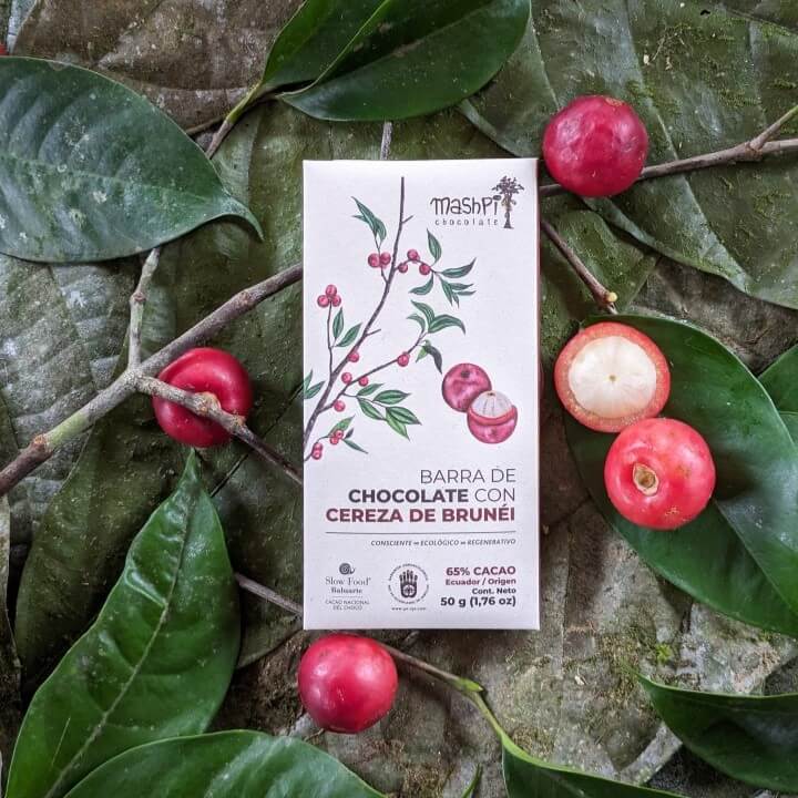 Barra 65% con Cereza de Brunei - Mashpi - Chocolates - Best-Chocolates-In-Ecuador
