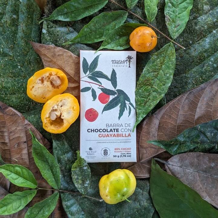 Barra 65% con Guayabilla - Mashpi Chocolate