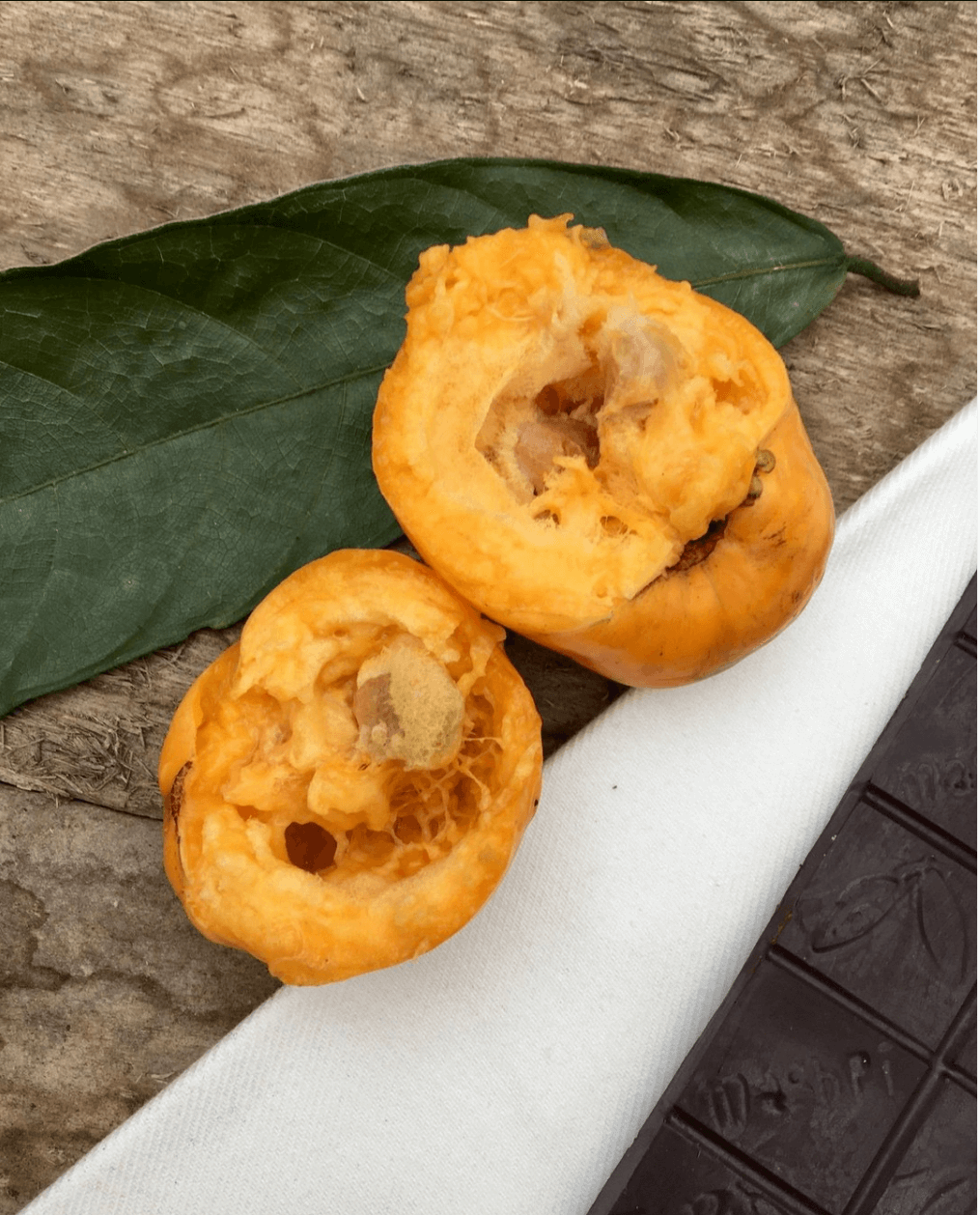 Barra 65% con Guayabilla - Mashpi Chocolate