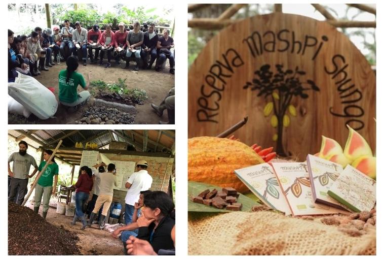 An-Introduction-to-Sustainable-Craft-Chocolate-from-mashpi-organic-chocolates-near-me