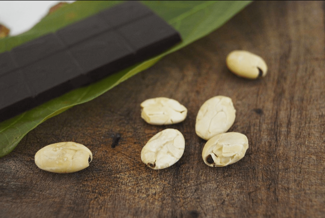 Macambo bar - Mashpi Chocolate 